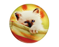 Acrylic Sublimation Blank Magnet - Circle