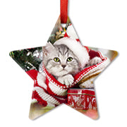 Premium Acrylic Sublimation Blank Ornaments - Star